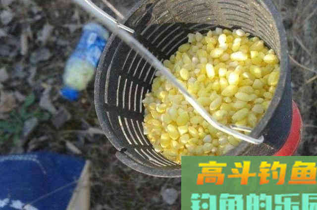 天气越热，大板鲫就越不好钓，还好我用了这绝招
