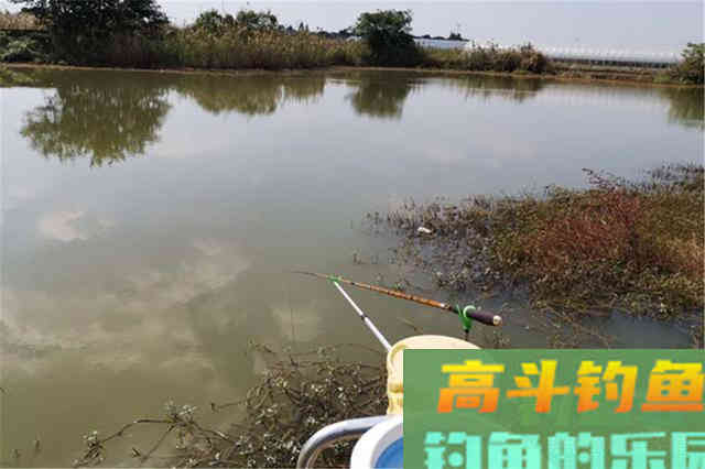 深秋初冬钓鲫鱼,这些地方已经没有鱼了 深秋初冬钓鲫鱼,这些地方已经没有鱼了