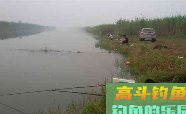 晚秋钓鲫鱼,这几种天气最可能爆护 晚秋钓鲫鱼,这几种天气最可能爆护