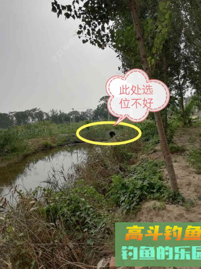 野钓策(20)小微水体野钓鲫鱼选位比对 野钓策(20)小微水体野钓鲫鱼选位比对