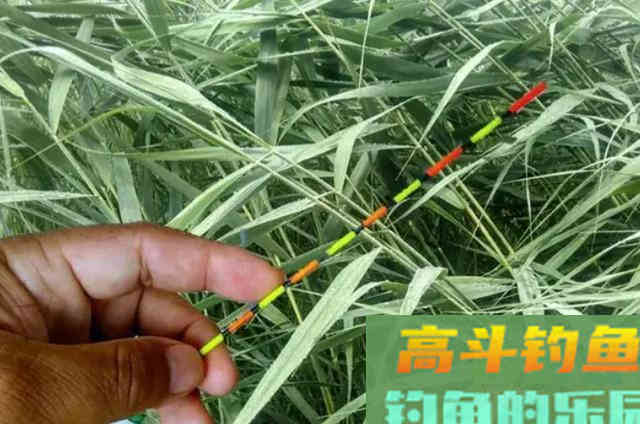 深秋时期，水库钓大鲫鱼的作钓思路与注意事项