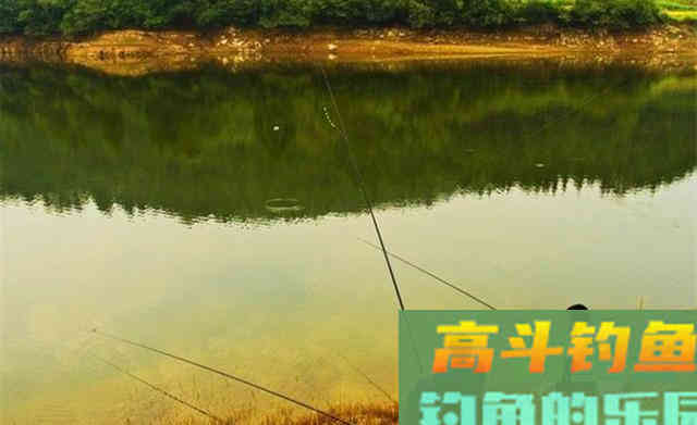 白露之后,野钓大鲤鱼,首选这些地形做钓位 白露之后,野钓大鲤鱼,首选这些地形做钓位