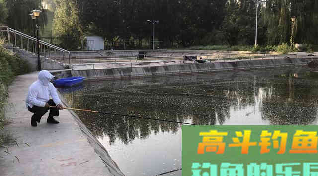 春季如何垂钓黑坑青鱼，5点因素6点注意见效