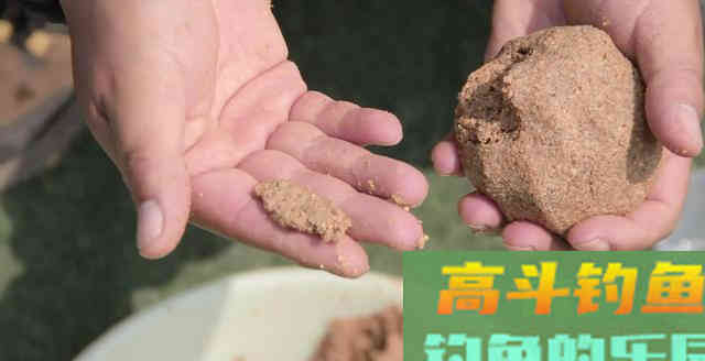 钓鲢鳙，白条总是闹窝怎么办？我是这样处理的