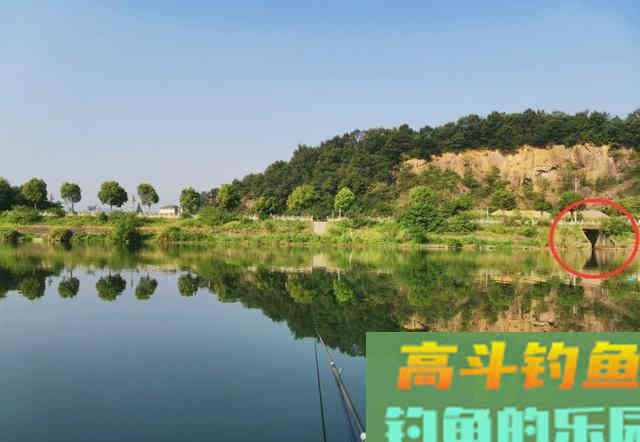 钓鳜鱼要牢记三活,只要方法得当,它比鲫鲤更好钓 钓鳜鱼要牢记三活,只要方法得当,它比鲫鲤更好钓