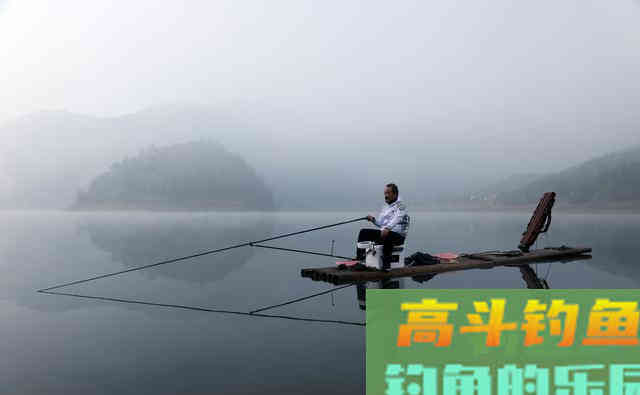 通体乌黑的大青鱼如何钓?我觉得这2点比较重要 通体乌黑的大青鱼如何钓?我觉得这2点比较重要