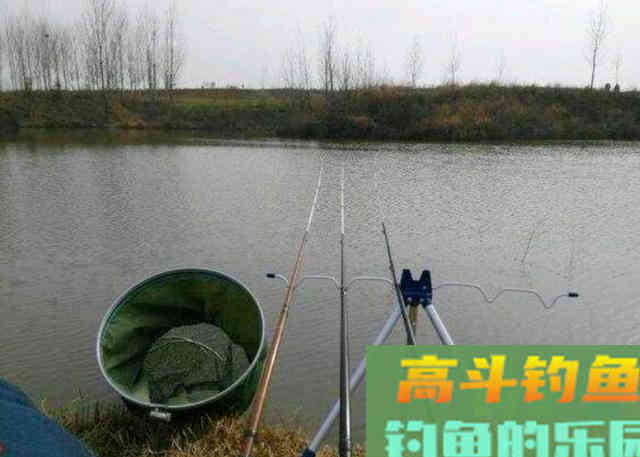 冬季野钓大板鲫需要牢牢记住的独特钓法 冬季野钓大板鲫需要牢牢记住的独特钓法