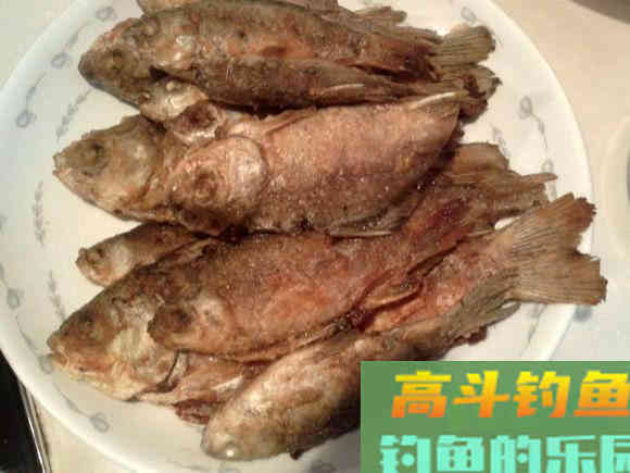 野河沟里钓野生鲫鱼,吃起来却有股煤油味是为什么 野河沟里钓野生鲫鱼,吃起来却有股煤油味是为什么