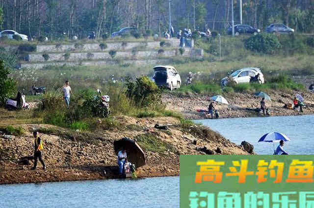 鲤鱼并不难找，认准这些地方，一准没跑