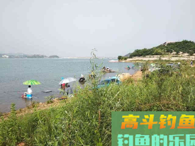 嘴巴小尾巴黄，3两重的冲劲很大，这鱼该如何垂钓