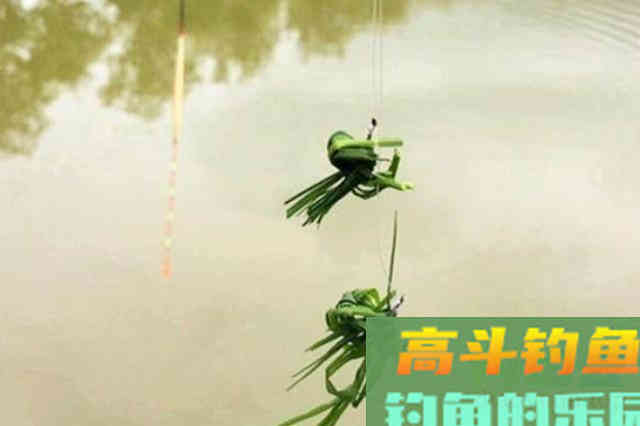 立秋前，草鱼按我说的钓，就连老司机都拍手叫好