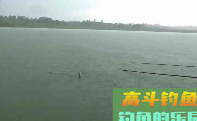天气突降10度以下鲫鱼好钓吗 天气突降10度以下鲫鱼好钓吗