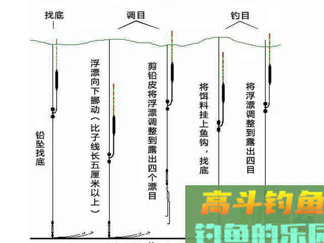 秋季钓鲫鱼时该如何调整作钓，选装备饵料窝料