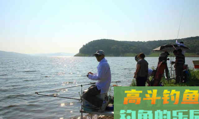 立夏之后，正适合野钓鲤鱼