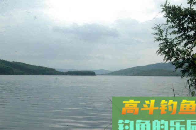 钓白条用我分享的方法，你下钩，它就在那等你