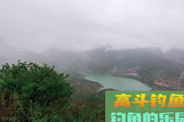 进入夏季鲫鱼就难钓？看看这3点你就会懂
