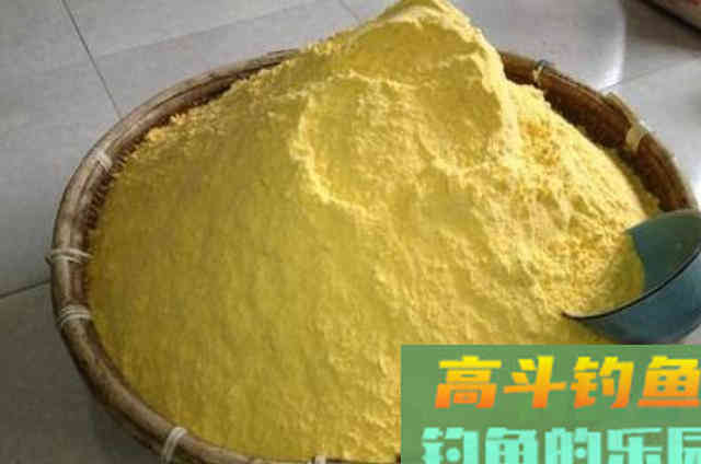 钓鲤鱼唯独这饵才靠谱，刚下竿就有口