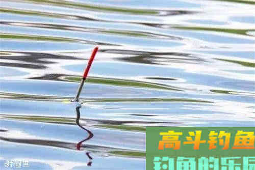 春季手竿钓鲤鱼的注意事项