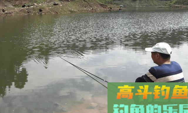 钓白条不只是饵料腥就可以,想收获多这几点要掌握 钓白条不只是饵料腥就可以,想收获多这几点要掌握