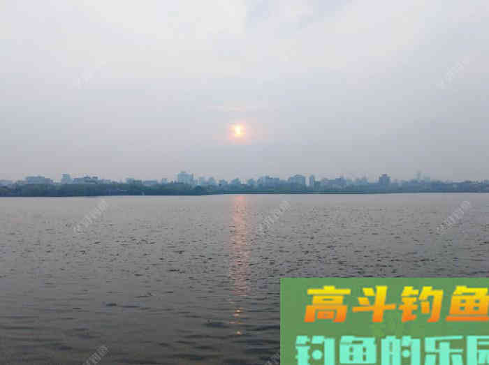 全方位谈钓鳊鱼的见解与体会，助你钓获大鳊鱼