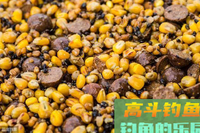 想钓好罗非鱼，窝料饵料的这些使用技巧你用没