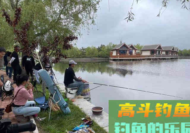 邓刚钓鲢鳙居然败了？这一做法是溃败的关键