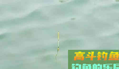 鲫鱼漂相形成的原因，以及提竿空竿的原因
