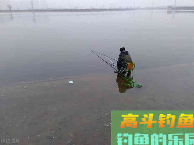 入冬降温后鲫鱼躲在哪里?怎样才能找到鲫鱼的藏身处 入冬降温后鲫鱼躲在哪里?怎样才能找到鲫鱼的藏身处