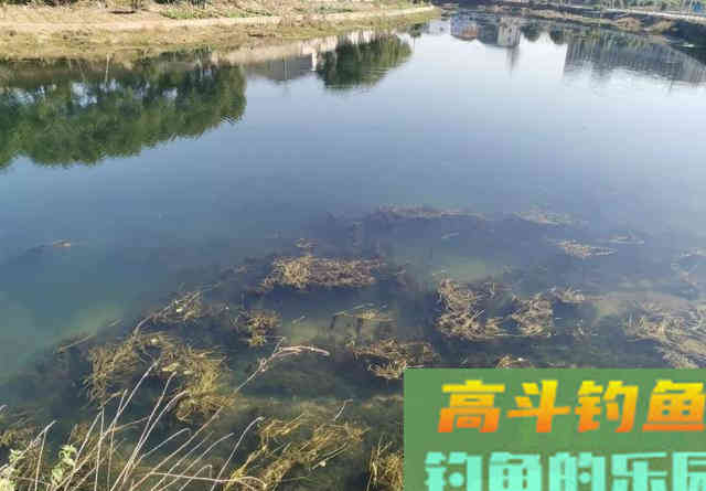鲫鱼不吃饵那是离底了,初冬水温分层,别守深水钓底 鲫鱼不吃饵那是离底了,初冬水温分层,别守深水钓底