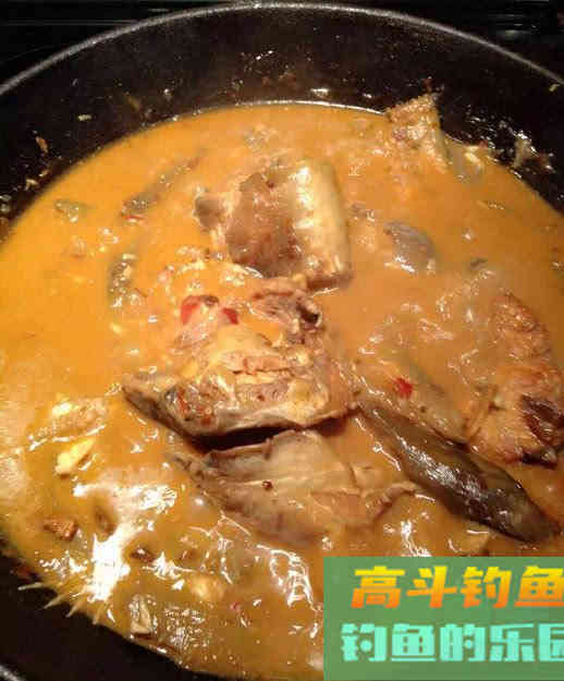 鲶鱼是否也适合路亚钓法？路亚鲶鱼掌握这4点很重要
