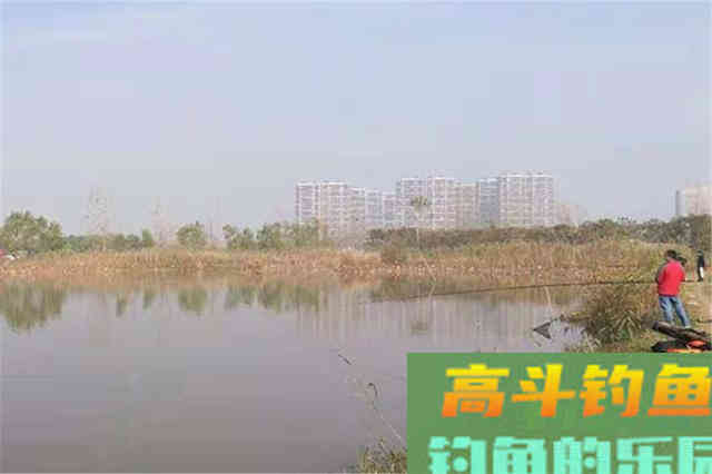 气温越低,大板鲫越是藏深水 气温越低,大板鲫越是藏深水