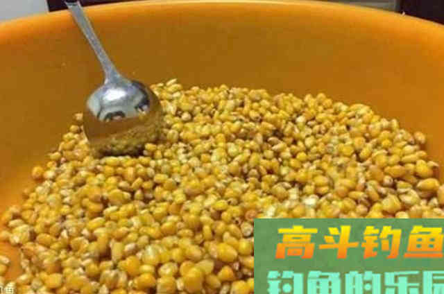 自从用了这鲤鱼钓法,一支竿都忙不过来