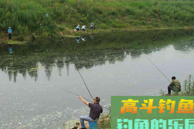 钓鳜鱼要牢记三活,只要方法得当,它比鲫鲤更好钓 钓鳜鱼要牢记三活,只要方法得当,它比鲫鲤更好钓