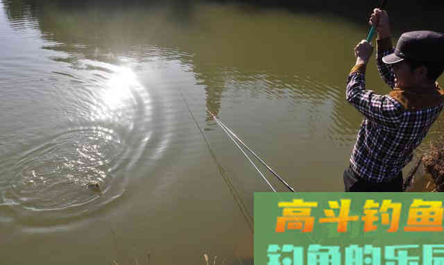 野钓鲤鱼,要以守为主,灵活应变 野钓鲤鱼,要以守为主,灵活应变
