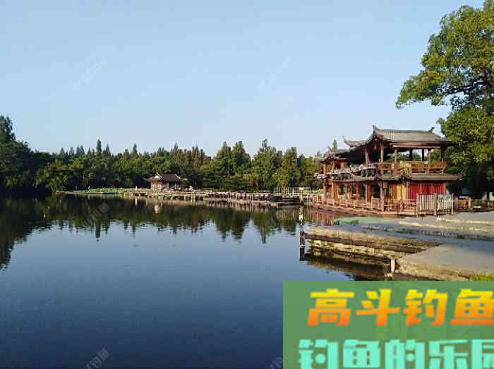 秋冬季钓大鲫鱼的技巧，钓法运用与饵料搭配