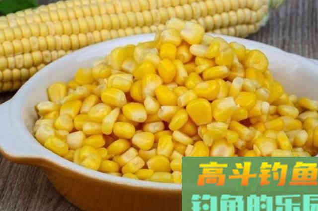 三番五次提醒你,秋天只要有这草鱼钓法 三番五次提醒你,秋天只要有这草鱼钓法
