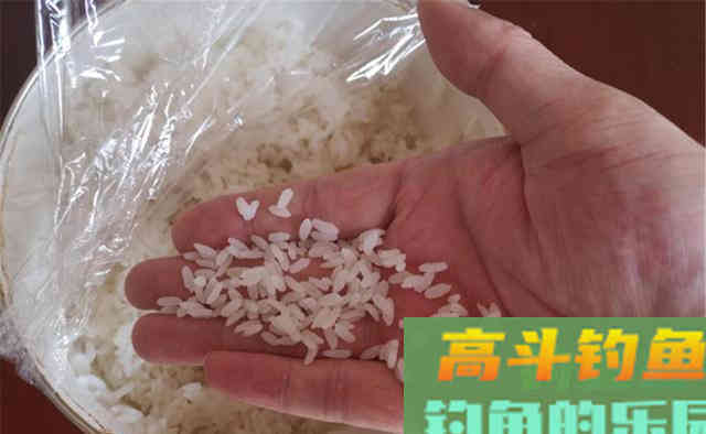 秋冬季节钓鲫鱼,用米饭做饵料,杂鱼不闹窝 秋冬季节钓鲫鱼,用米饭做饵料,杂鱼不闹窝