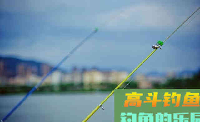 钓鳜鱼要牢记三活,只要方法得当,它比鲫鲤更好钓 钓鳜鱼要牢记三活,只要方法得当,它比鲫鲤更好钓