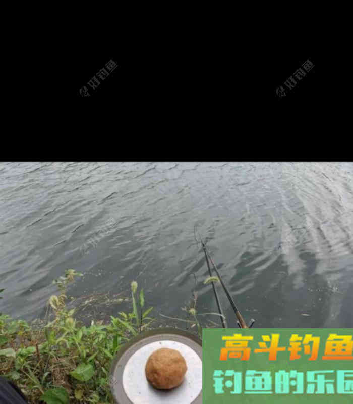 论钓白条频率的重要性 论钓白条频率的重要性