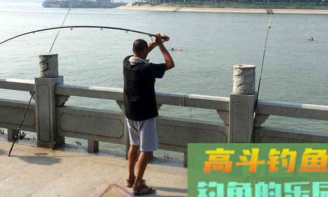 大鲫鱼的上钩,往往是正确的运用了这种竿的爆发力 大鲫鱼的上钩,往往是正确的运用了这种竿的爆发力
