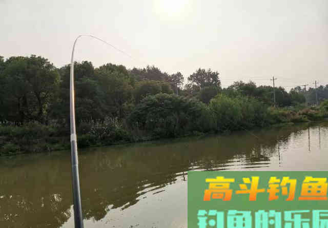 冬钓鲤鱼得先找“窝” 冬钓鲤鱼得先找“窝”