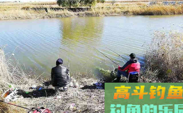 钓鲢鳙远离这3大误区，钓好鱼很简单