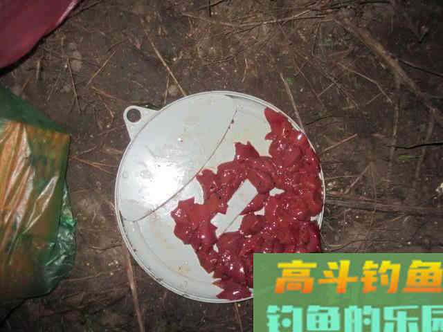 秋季夜钓鲶鱼是全年最好季节,总结5个技巧 秋季夜钓鲶鱼是全年最好季节,总结5个技巧