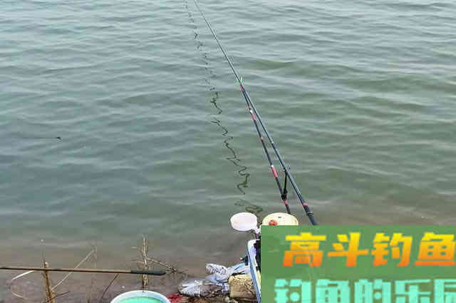 钓不好鲫鱼,是饵料问题? 钓不好鲫鱼,是饵料问题?