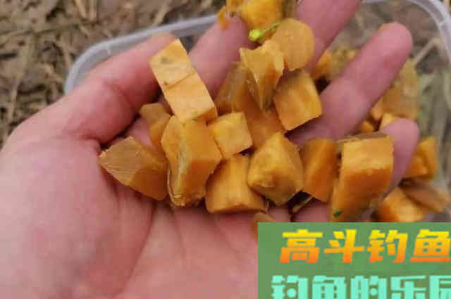 热天必备！这鲤鱼钓法简单易上手
