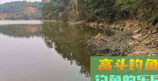 夏季鲢鳙怎么钓？掌握鱼情、水情、钓深、钓浅等