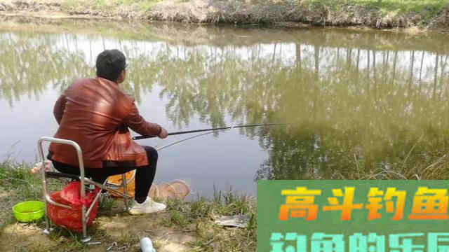 长竿配大漂钓鲫鱼，教你一招以钝钓钝
