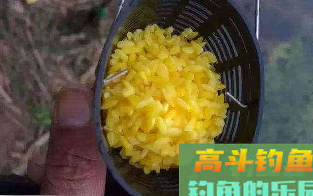 钓友问：初春温度升高，不打窝钓鲫鱼可以吗