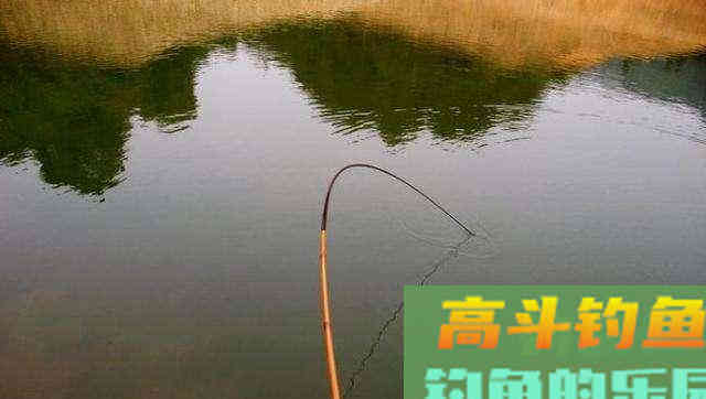 为什么鲤鱼总是脱钩？因为它用这5个套路把你骗了