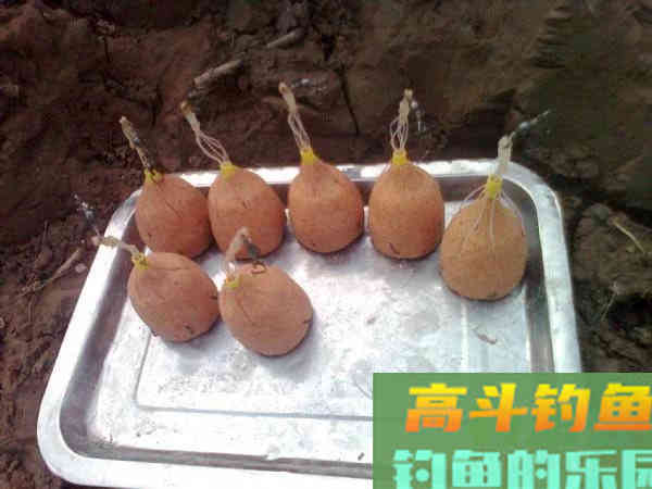 老司机分享多年钓鲢鳙的经验 老司机分享多年钓鲢鳙的经验